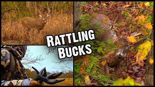 Setups and Tips for Rattling Bucks -  Deer Hunting 2020 (#584)