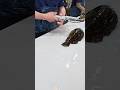 タケノコメバル捌く