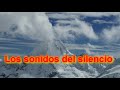 sonido del silencio - Sergio Denis