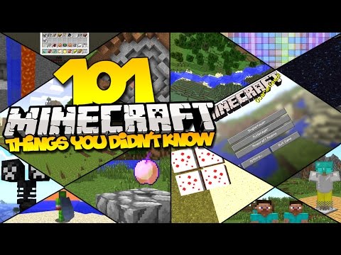 101-things-you-didn't-know-about-minecraft