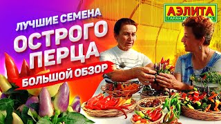 НАШИ ЛУЧШИЕ СЕМЕНА ОСТРОГО ПЕРЦА. Большой обзор сортов!