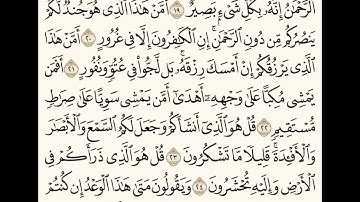 سورة الملك (١٩-٢٦) للشيخ المقرئ عبدالقادر العثمان ..