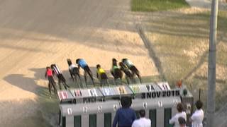 Ipswich-03112015-Race-4