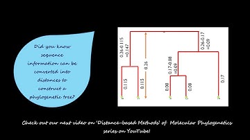 MolPhylo 5 Distance Based Methods