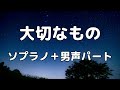 【合唱曲】大切なもの (混声三部合唱) /アルト無し パート練習用【歌詞付き】