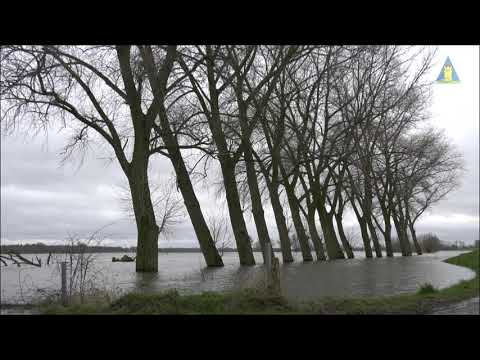 Hoog water in de IJssel 2020