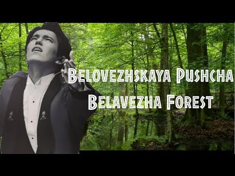 Vidéo: Comment Se Rendre à Belovezhskaya Pushcha