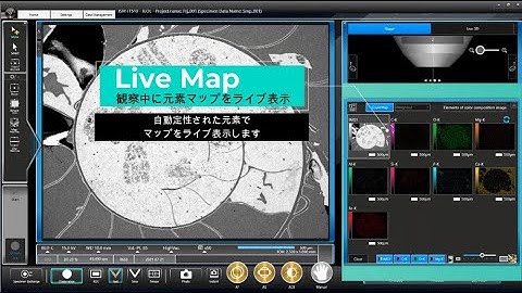 JEOL Live Map (JSM-IT510 InTouchScope(TM) 走査電子顕微鏡/Scanning Electron Microscope)