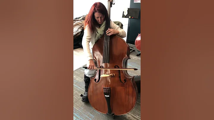 Colorado Symphony Bassist Susan Cahill Playing Our...