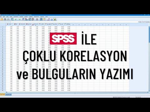 Video: İş tatmininize en çok ne katkıda bulunur?