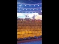 André Rieu Gheorghe Zamfir The Lonely Shepherd Kill Bill Soundtrack Bucharest Bucuresti 