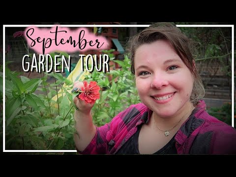Planting Garlic and Cucumber//Fall Gardening//September Garden Tour hqdefault