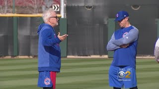 Spring Training With The Cubs