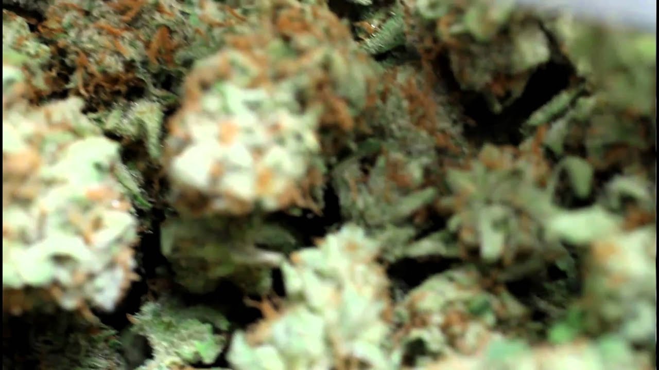 MEDICAL MARIJUANA -SUPER LEMON HAZE