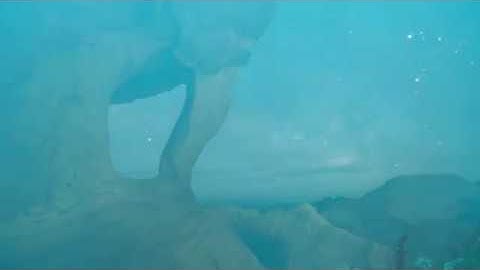 Week 6 assignment: Music Video Mashup