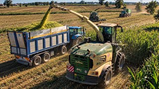 🚜x2 Krone BIg X1180 in Campo! | John Deere 6R | Axion 850 | Big Silage 🌽| TeamGialloVerde & Bozzetto