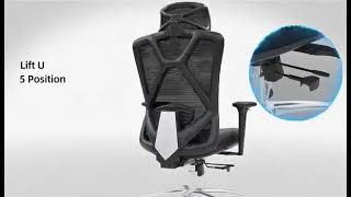 Ofix Deluxe-B31 High Back Mesh Chair, Adjustable Backrest, Lumbar 3D Armrest With Seat Slide