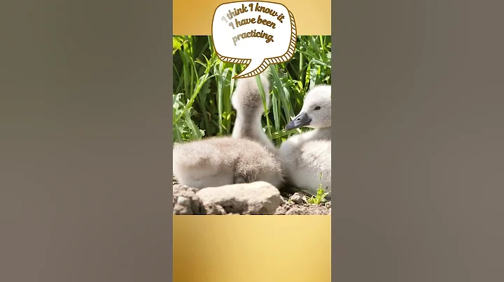 Jeremiah 33:3 Call unto me, and I will answer thee, and shew thee great and mighty things....🙏