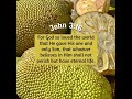 The jackfruit mirrors the Gospel. Everything about it is life! #fyp #jesus #gospel