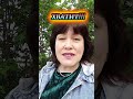 ХВАТИТ!!!