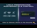 Linux Permissions Explained: Chmod Made Simple