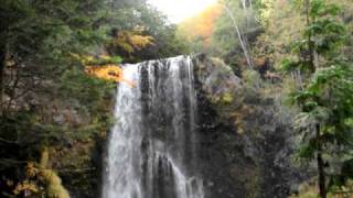 DSC 2761