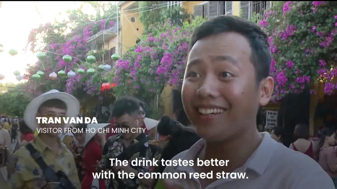 Hoi An uses common reed instead of plastic straws