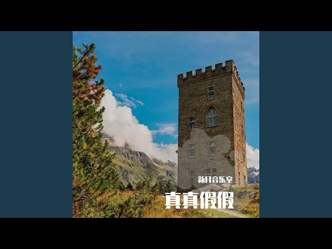 真真假假