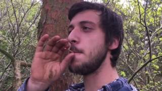 Tree Climb Smoke Sesh