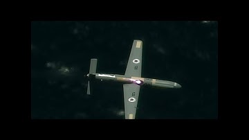 Israel uses AI-guided drone swarm to target Hamas militants in Gaza