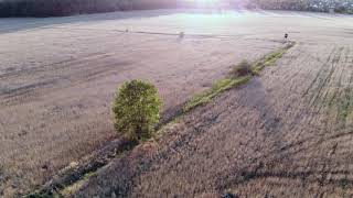 sunset flight music Ludwigsfelde 32 sec, transitions, screenshot 4