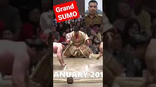 grand sumo#shorts