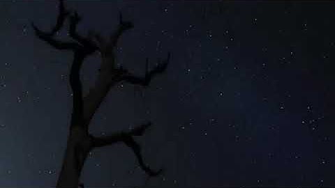 تلاوة من سورة إبراهيم... بندر ال يسر حفظه الله