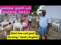 குறைந்த முதலீட்டில் வெள்ளாடு வளர்ப்பு | Start low cost goat farming | Tamil | English | Vadivel goat