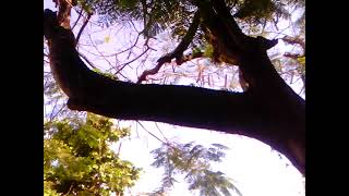 Clima tempo RJ 31 de outubro de 2022Clims Tempo RJ Informa