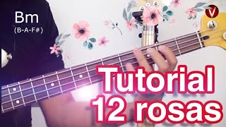 Video thumbnail of "Doce rosas tutorial"