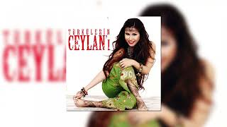 Ceylan - Saçımın Akına Bakma Sultanım Resimi