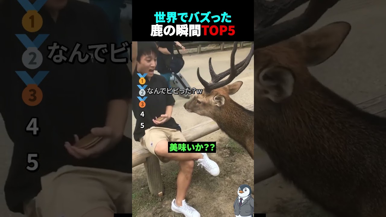 世界でバズった鹿の瞬間TOP5
