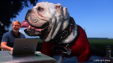 An Example of an Introductory Video for an Online Course Module