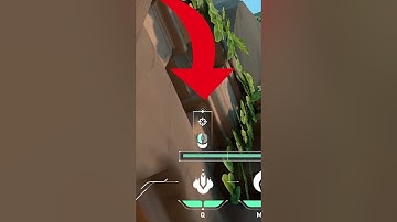 NEW VIPER LINEUP on the NEW MAP LOTUS!