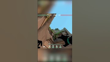 NEW VIPER LINEUP on the NEW MAP LOTUS!