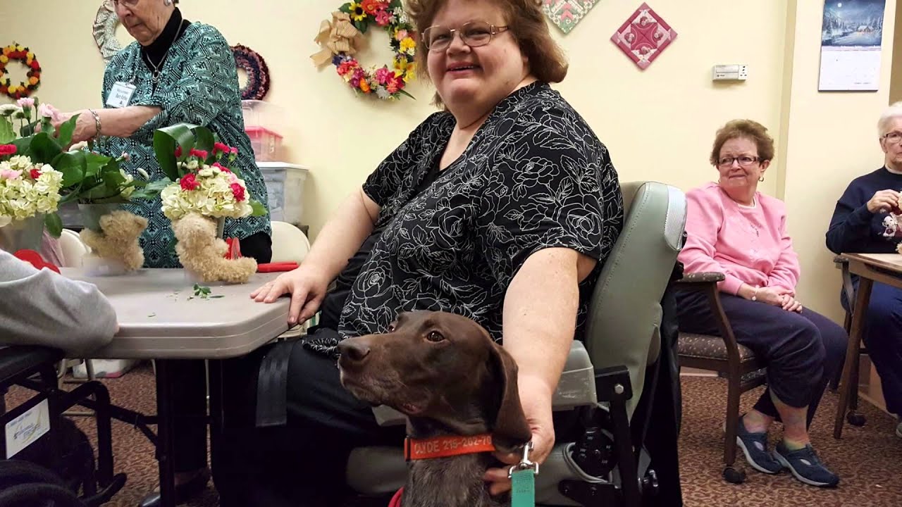 Clyde, Therapy Dog at Always Best Care Senior Services, Plymouth Meeting, PA