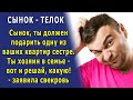 «Не отдашь квартиру моей сестре – развод!» - ЗАЯВИЛ мне МУЖ по указке СВЕКРОВИ