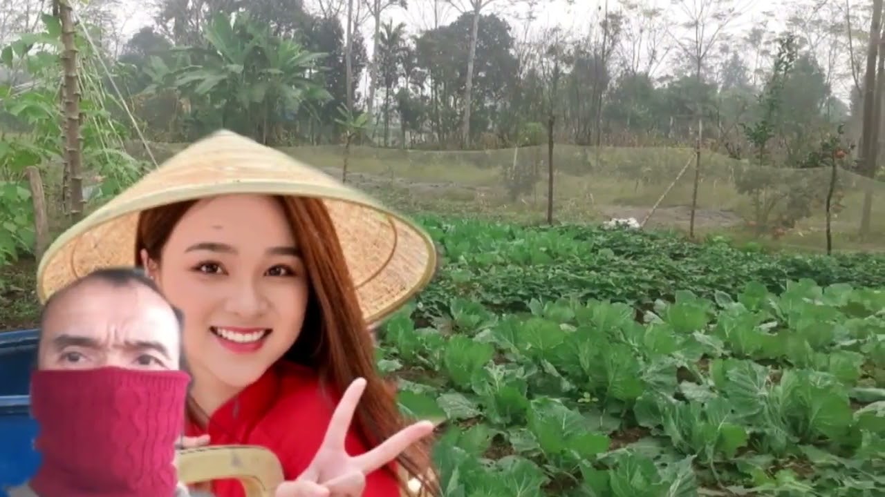 Tuấn vũ. Thư về em gái thành đô. 