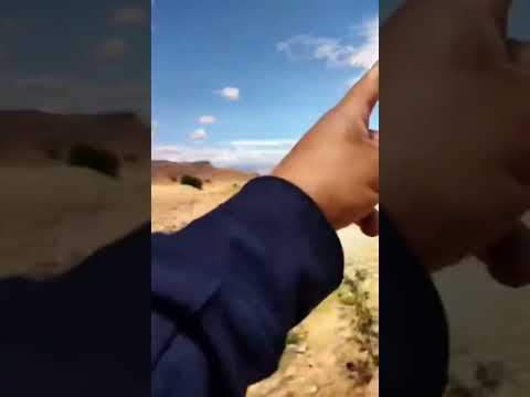 نداء استغاثة لانقاذ معذر بوسعادة الذي ضربه الجفاف