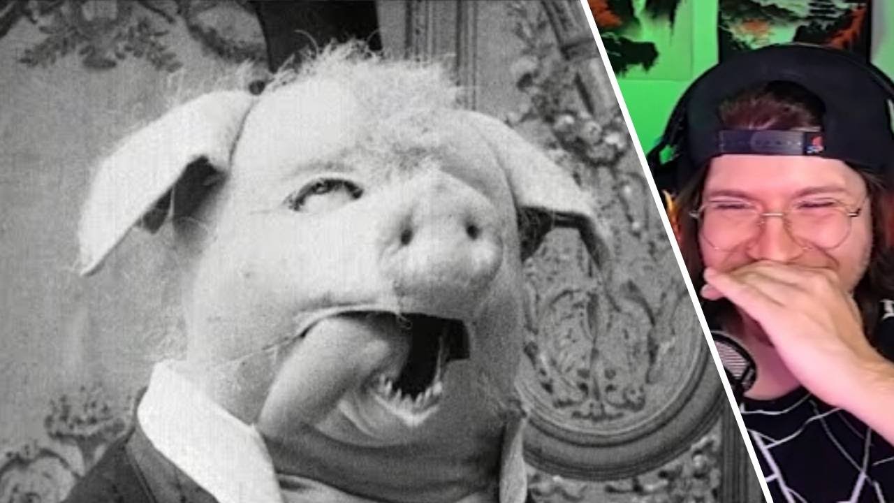 CINIS IMPLOSIONA CON EL YTPH EL ORIGEN DE LA GRIPE MARRANA