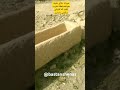 خدا روزی میرسونه من و تو که عددی نیستیم حتما باید دروغ های شیرین بهتون بفروشیم تا عزیز بشیم یاحق خدا روزی میرسونه من و تو که عددی نیستیم حتما باید دروغ های شیرین بهتون بفروشیم تا عزیز بشیم یاحق