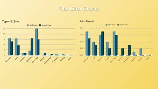 Litter Project Final Video Presentation