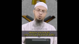 হস্ত'মৈ'থু'নের গুনাহ থেকে মুক্তি পেতে এবং তওবা ধরে রাখতে কী করণীয়? 🎤 আহমাদুল্লাহ