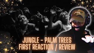 Jungle - Palm Trees First Reaction/ Review